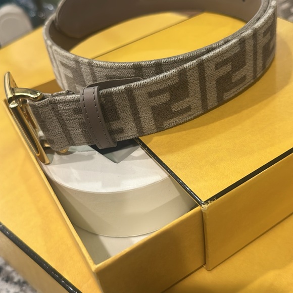 Fendi Brown and Gold women Belt Bag - Picture 3 of 17
